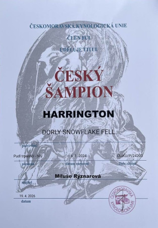 Český šampion